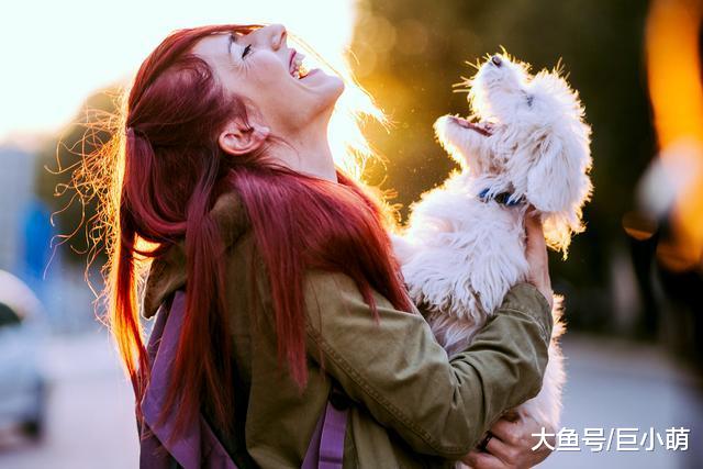 刚回家就被狗狗舔你一脸？那是狗狗在和你说，主人我超喜欢你