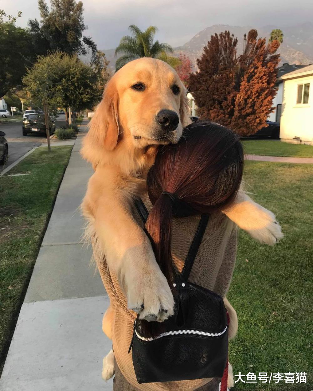 喜歡寵物就能心血來潮帶回家？不，至少要提前做到這兩件事才行