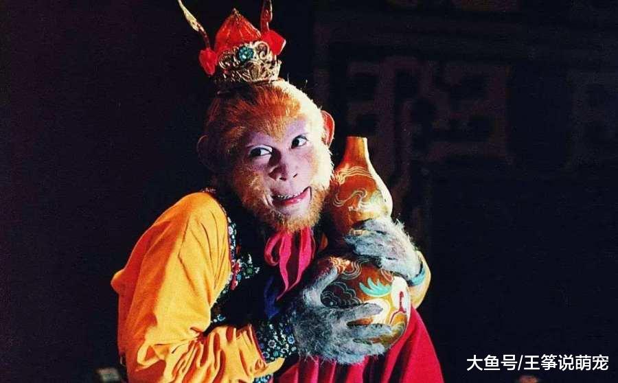 六小龄童最新魔幻大电影，投资近7亿，光看海报就足以震撼！