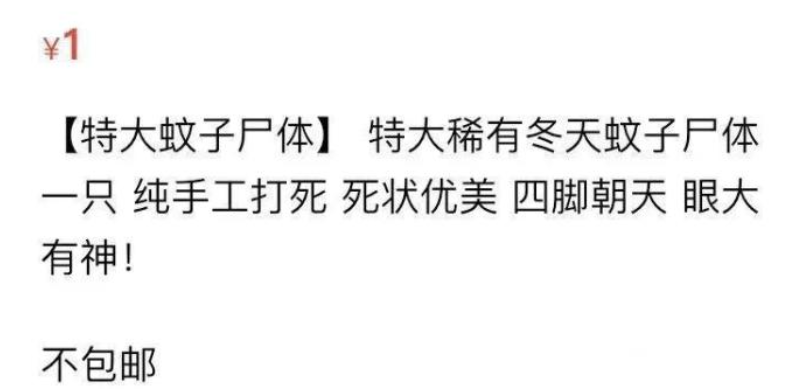 你永远不会知道，你在闲鱼能看到什么......