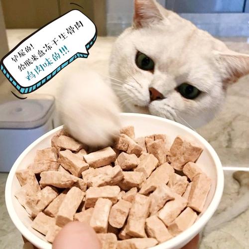 猫零食怎么选 主人要注意这几点