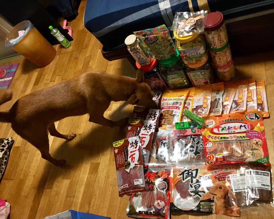 中秋节了铲屎官纷纷嗮出自己的战利品，网友：是批发商没错了！