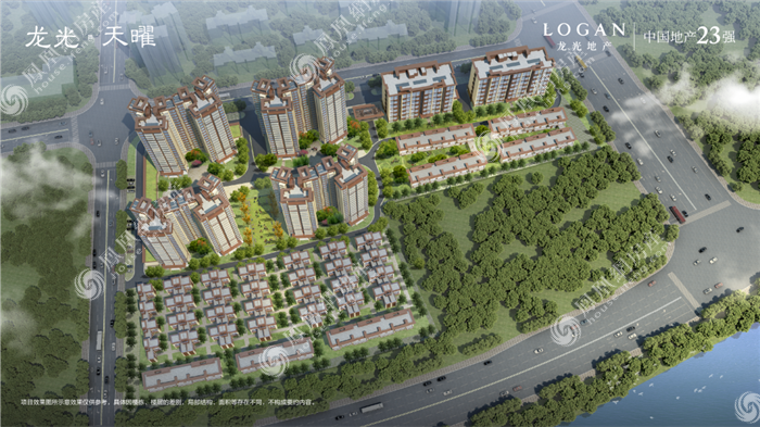 悬爷：凤岭南土拍 一窝三颗小鹌鹑蛋