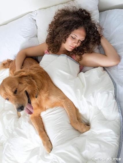 为什么女主人不能跟狗狗太过亲近? 有这5点坏处!