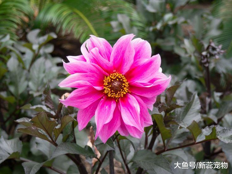 进入10月，3个生肖财运通达，事业运旺，得贵人相助，步步高升