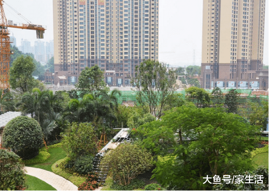 為什么今年已經不適宜炒房？聽行內人一說，還好知道早了