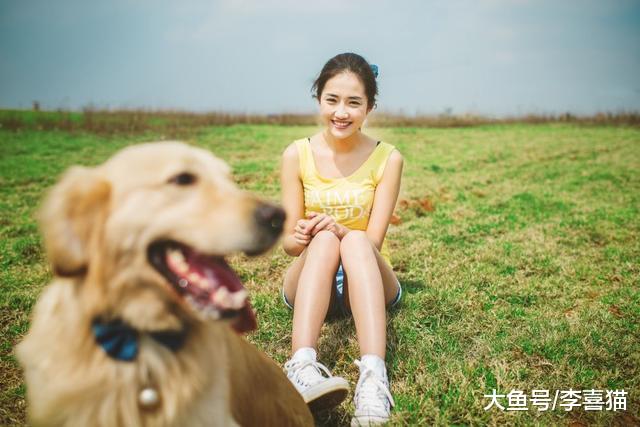 端午带狗狗出门郊游，铲屎官需做好四点准备工作，携爱犬平安归来