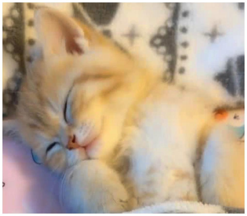 猫咪睡觉被人打扰, 醒来睁眼的瞬间萌化了, 像公主苏醒