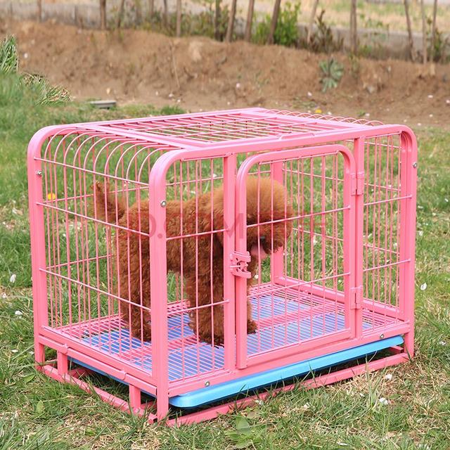 这5件事情最好别对泰迪犬做，它会伤心难过，你中招没有？