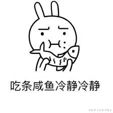 对面阳台上有一只二哈，拉近镜头发现怪事：需要叫救护车嘛