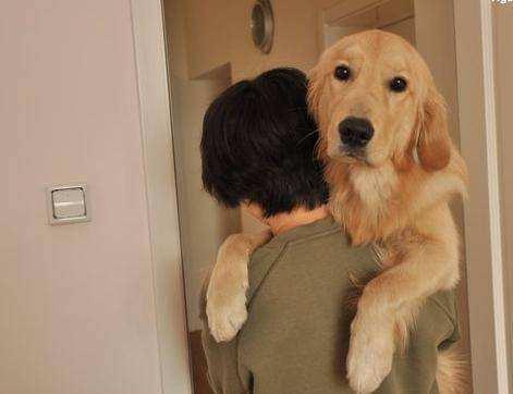 你养的狗狗正在悄悄暴露你的性格，你是哪一种？