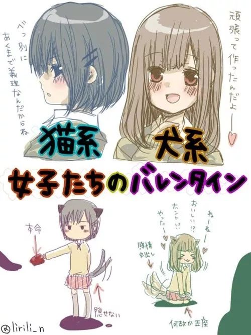 什么！？爱猫的我竟然是犬系的？