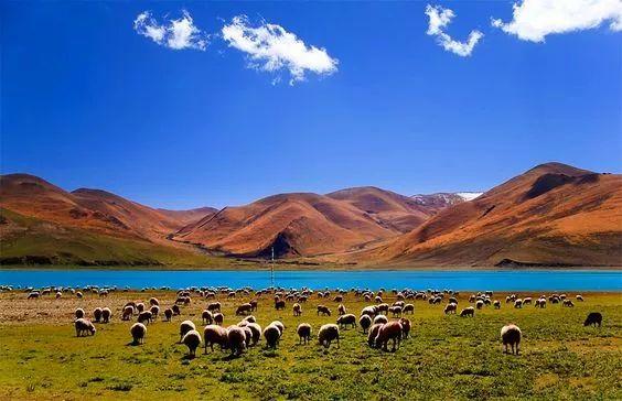 世界上鱼最多的湖就在国内, 8亿公斤没人敢钓