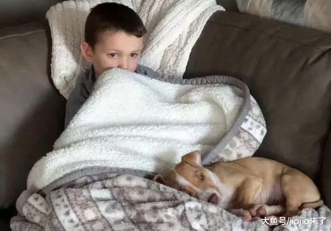 陪伴他长大的狗狗去世，小男孩承受了巨大的悲痛，直到有一天……