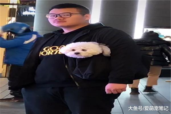 前方男子挎包的比熊掛飾很特別，走近一看，卻笑噴了：原來是真狗