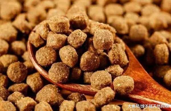 柯基犬吃什么狗粮好？