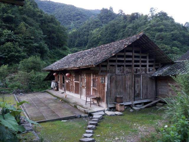 夜里屋子房梁上出现不速之客，网友以为是野猫，手电一照当场不淡定了