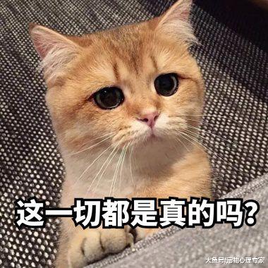 把泰迪送到乡下老家，半年后去接回，女子刚进门就直捂脸