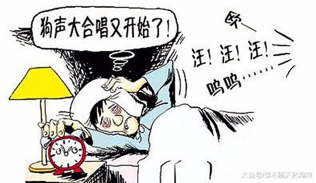 养罗威纳的5种不文明行为，宠主一定要说“不”！