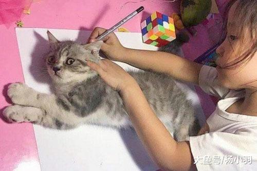猫咪的用途在熊孩子那得到升级，从“陪读生”荣升代签“家长”