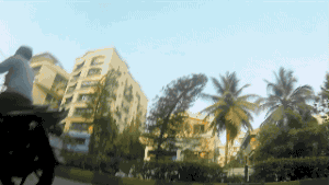 流浪狗一天的遭遇，看完莫名心酸