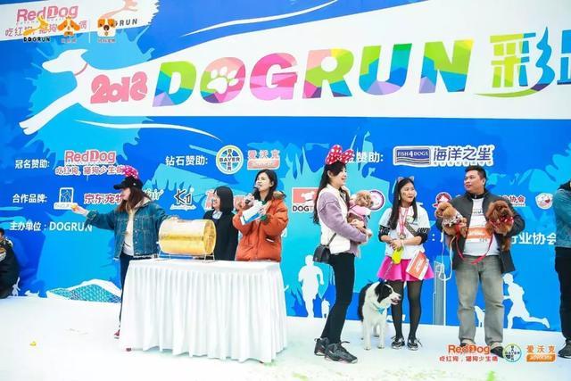 彩跑现场|作为广州人, 和狗开年彩跑好彩到爆