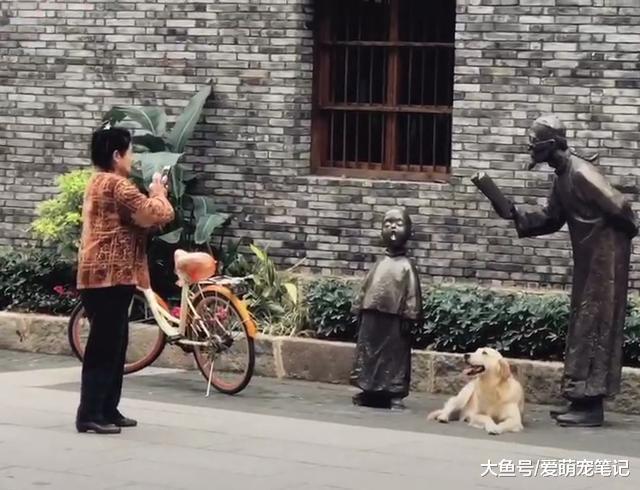 陪伴五年的金毛, 阿姨不管走到哪里都会给它拍照留念, 画面好感动