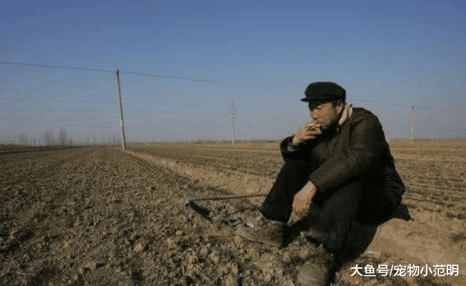 你还觉得农村户口是没有用的？你还不知道将来这几样会非常值钱吗？