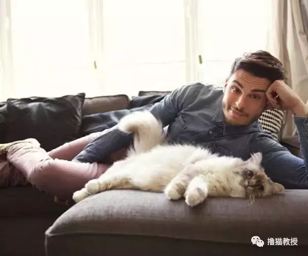 老佛爺去世，他愛到想要與之結婚的貓怎么辦？