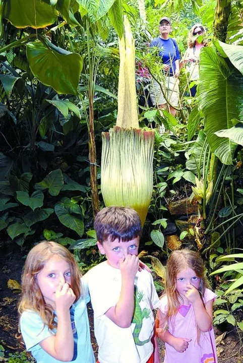 糟心植物大pk，谁是赢家？