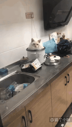 鳄鱼咬手指玩具新玩法，有点刺激