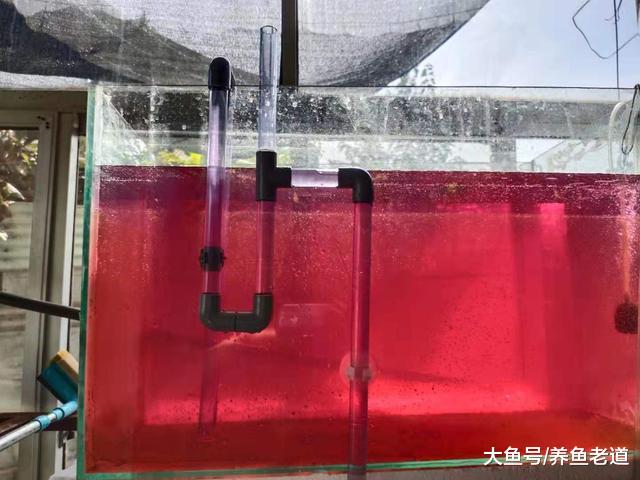 鱼缸上滤改底滤就这么简单？是的，即使不用钻眼其实也很简单