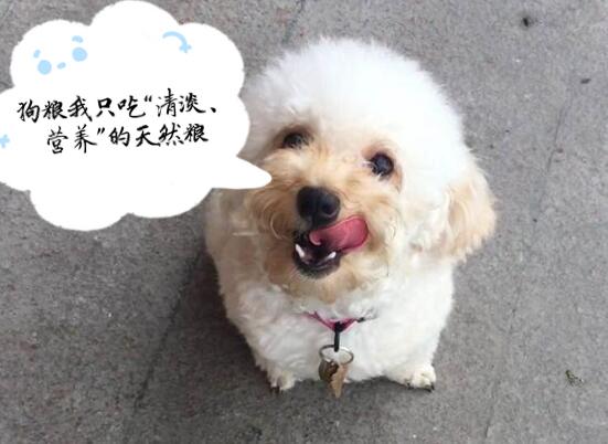 狗狗的5个“软肋”，请不要对它做，每一个都令它伤心！
