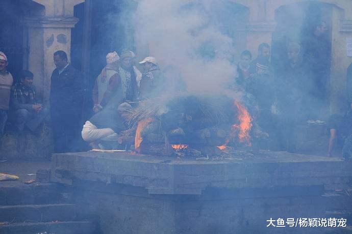 500斤胖子去世，火葬场锅炉装不下，员工建议切两半，把家属气的直哆嗦