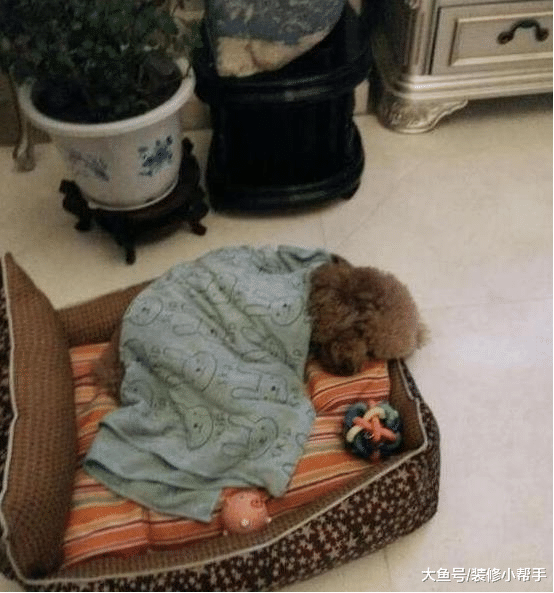 参观杨紫的千万豪宅，独栋别墅真霸气，内部空间更加豪华