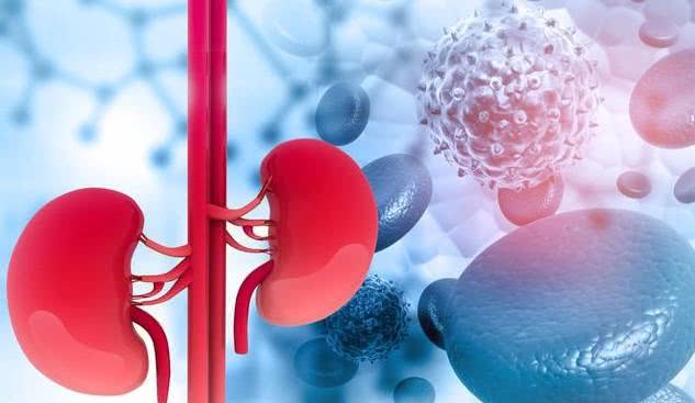 枸杞|尿毒症都是“吃”出来的？建议你4种食物少碰，肾也会感谢你！