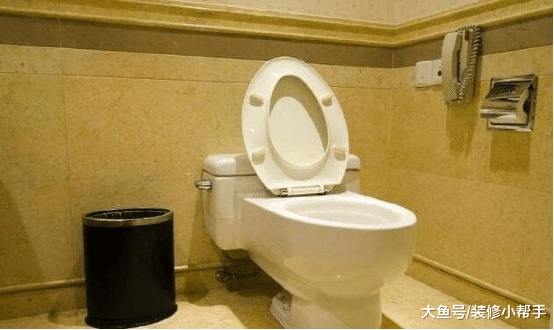厕纸到底丢垃圾桶还是马桶里面好，听保洁阿姨一说，好多人做错了
