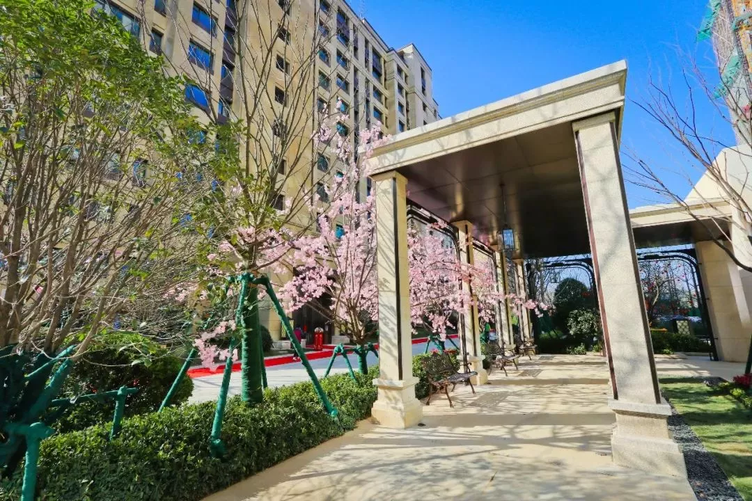 南京那些不容错过的大区+示范区景观，又一波报名进行中……