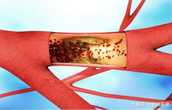 22岁女生突然昏倒，抢救3小时，医生：跟男友脱不了干系！