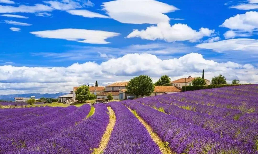 没见过北疆这8景，别说你环游过北疆