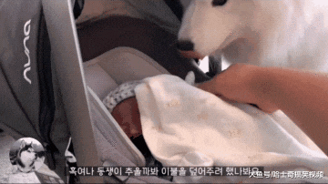 女主人生了宝宝，告诉大白狗是它弟弟，没想到被“暖哭”了