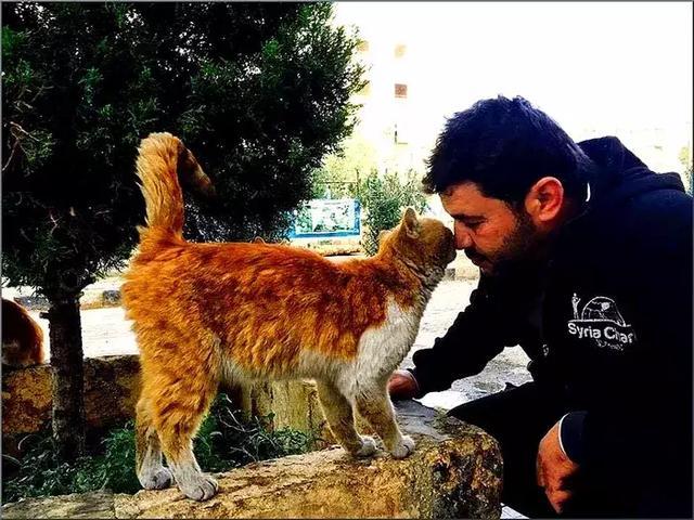 流浪猫被猫男大叔救助，战乱中不离不弃跟随，并助他开解受伤居民