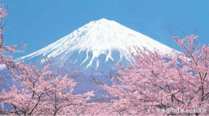 最想移民到中国的两个国家，一个是巴基斯坦，另一个却不知羞耻！