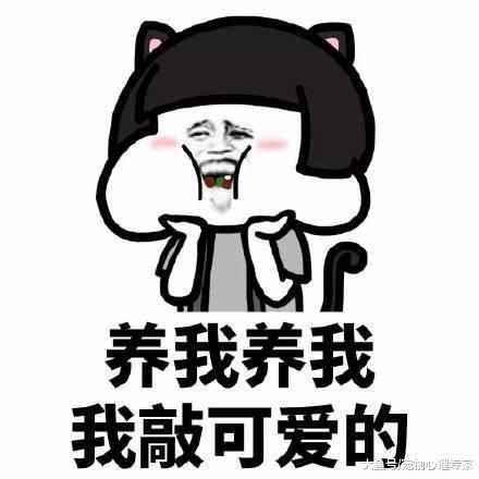 女子撿到流浪貓，被朋友嫌棄貓咪不好看，幾個月后竟成功逆襲