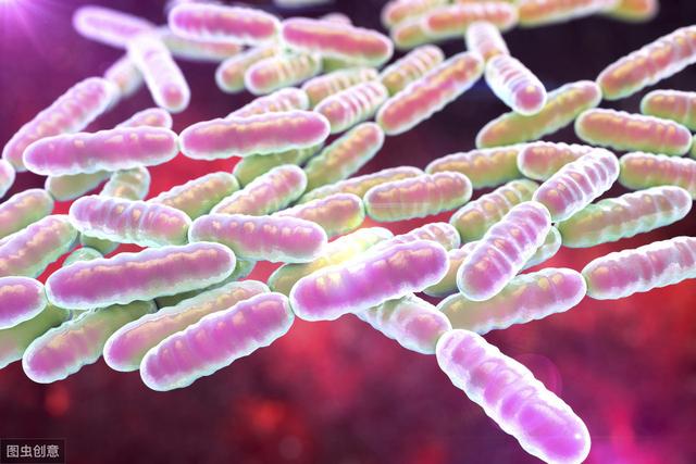 养狗一定少不了这7样东西，看看你备齐了吗？