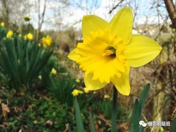 想要提升自己的手机摄影技巧, 这几个问题需要注意