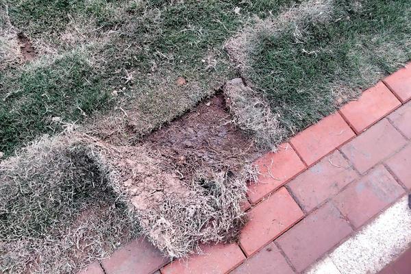 郑州一楼盘多次延期交房，最终交房却遇“配置缩水”，开发商这样回应……