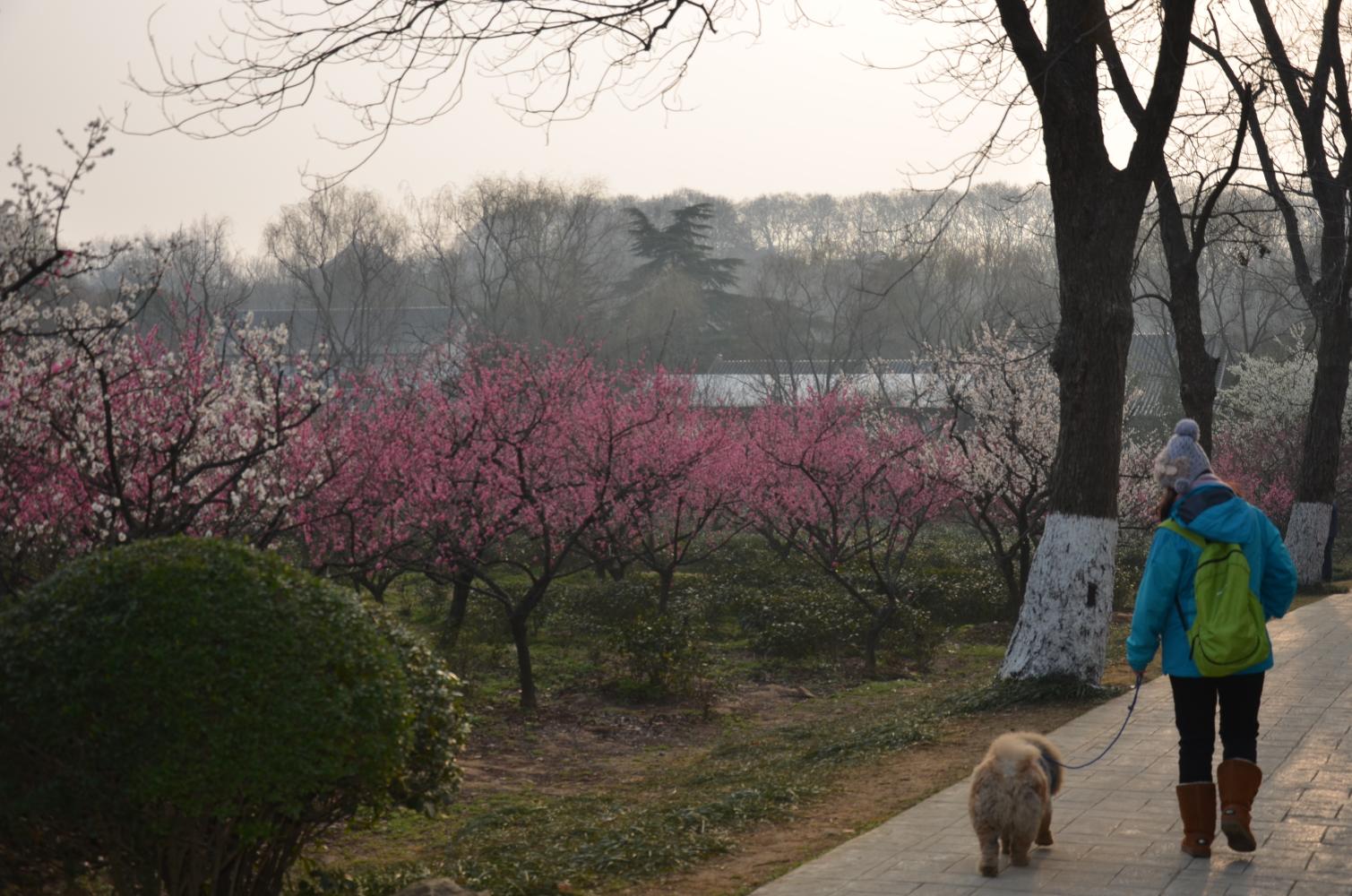 這首美麗的詩歌送給美麗的你！