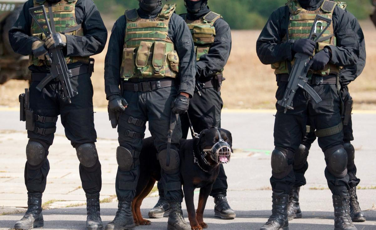 軍犬退役后將何去何從？我國的做法很人性化，美國的做法令人心寒