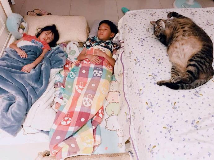 这个吻的味道有点上头